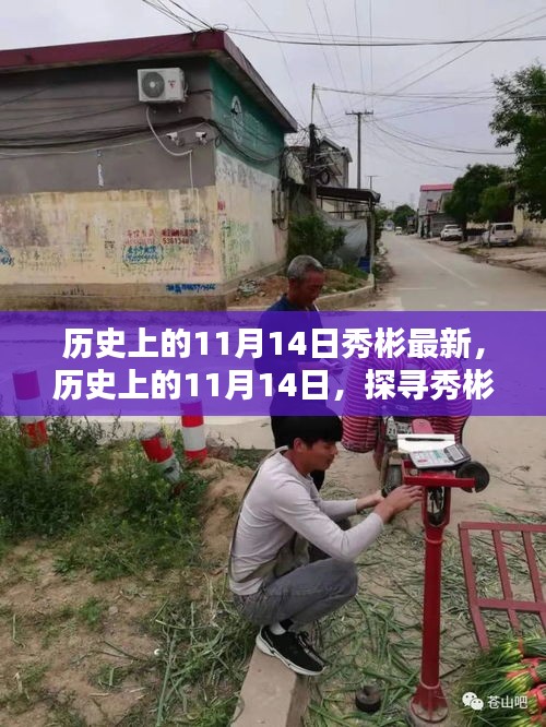 探尋秀彬的最新足跡，歷史上的11月14日回顧與最新進(jìn)展