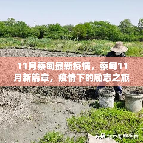 蔡甸11月疫情新篇章，勵志之旅展現(xiàn)自信與成就之光