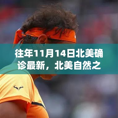 北美自然之旅，探尋美景與內(nèi)心寧?kù)o的旅程，歷年北美確診最新資訊回顧