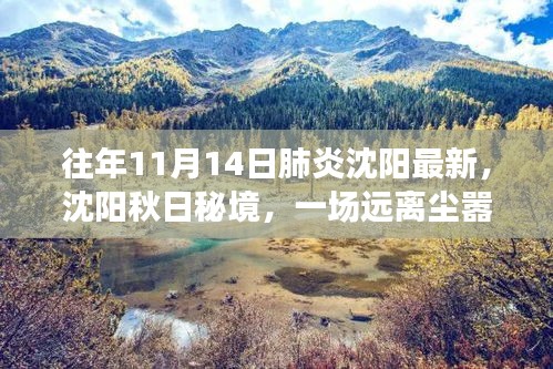 沈陽秋日秘境，肺炎時期的自然探索之旅