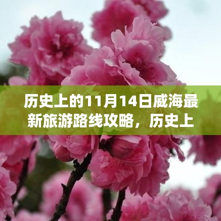 歷史上的11月14日威海旅游路線全新攻略，最新旅游路線探索