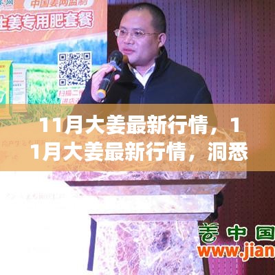 揭秘11月大姜最新行情，市場(chǎng)動(dòng)態(tài)與價(jià)格走勢(shì)一網(wǎng)打盡