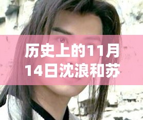 歷史上的11月14日揭秘沈浪和蘇若雪最新進(jìn)展，最新故事進(jìn)展揭秘！