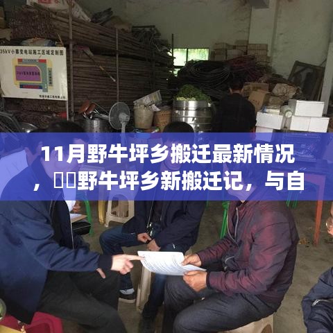 野牛坪鄉(xiāng)搬遷最新動(dòng)態(tài)，與自然共舞的新生活啟程