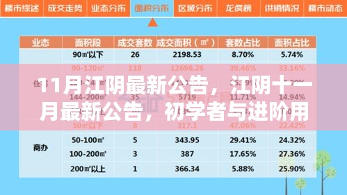 江陰十一月最新公告發(fā)布，初學(xué)者與進階用戶指南詳解