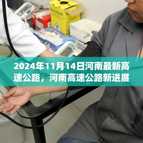 河南高速公路最新進展，聚焦2024年11月14日新動態(tài)