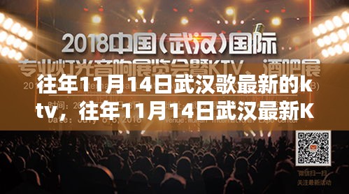 往年11月14日武漢KTV深度體驗(yàn)與評(píng)測(cè)，最新場(chǎng)所及感受分享