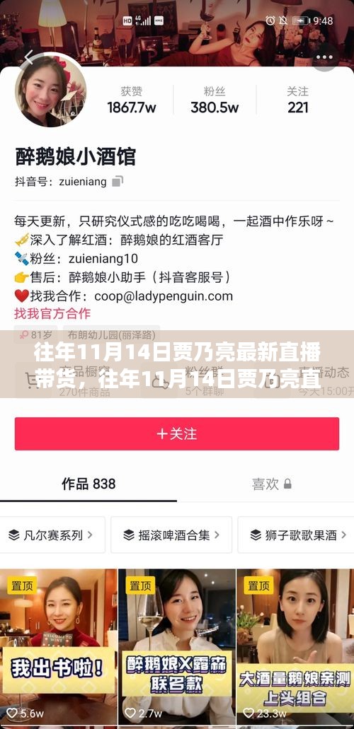 賈乃亮直播帶貨回顧，全面評測與介紹，歷年雙十一直播帶貨新動態(tài)