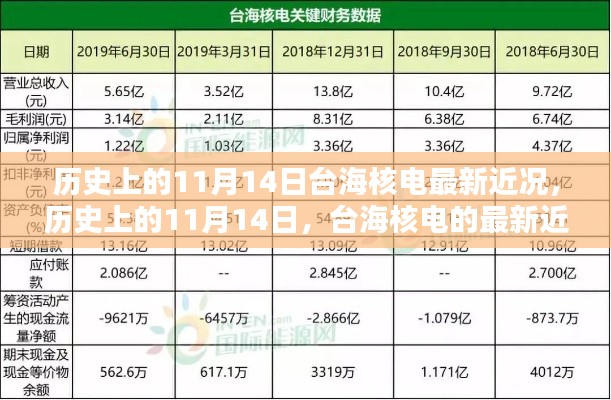 歷史上的11月14日，臺(tái)海核電的最新近況及其影響分析概覽
