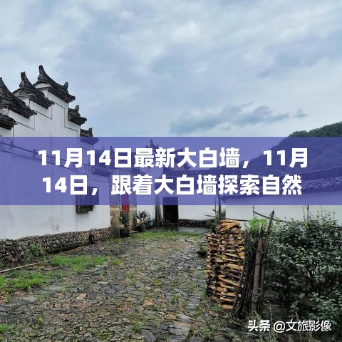 11月14日大白墻引領(lǐng)自然秘境之旅，探索內(nèi)心寧靜與平和的奧秘