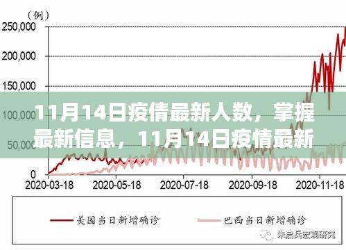 11月14日疫情最新人數(shù)查詢指南，掌握最新信息