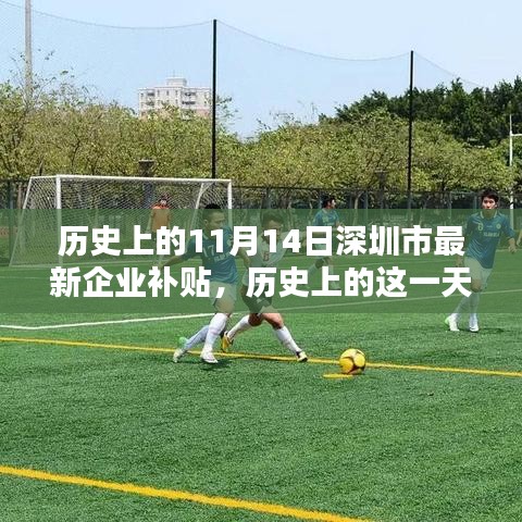 歷史上的11月14日深圳市新企業(yè)補貼政策回顧，影響與展望