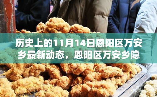 恩陽區(qū)萬安鄉(xiāng)隱秘小巷的百年風(fēng)味揭秘，最新動態(tài)報道在11月14日