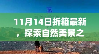 11月14日最新拆箱體驗(yàn)，自然美景之旅，尋找內(nèi)心的寧靜與喜悅