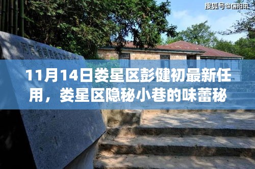 婁星區(qū)新任彭健初揭秘，小巷美食背后的故事與任命軌跡