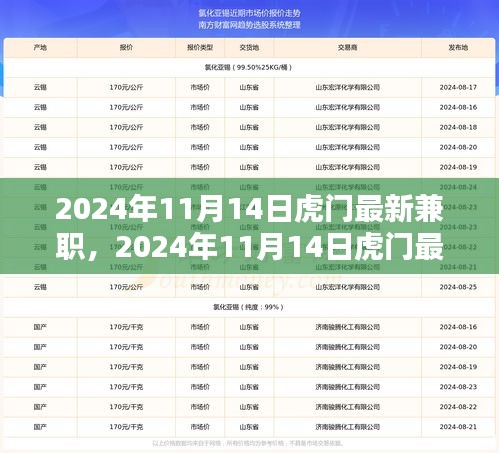 2024年11月14日虎門最新兼職，機遇與挑戰(zhàn)并存