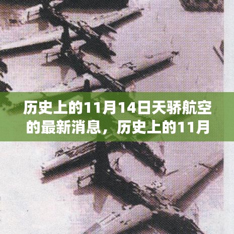 歷史上的天驕航空，探尋自然美景與心靈寧靜之旅的啟程日——11月14日最新消息