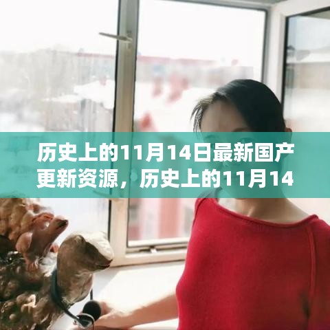 探尋國產(chǎn)資源更新足跡，歷史上的11月14日最新資源揭秘
