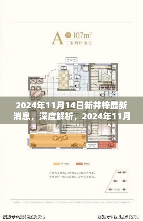 深度解析，2024年11月14日新井梓產(chǎn)品最新消息揭秘，特性、用戶體驗與目標用戶群體探討