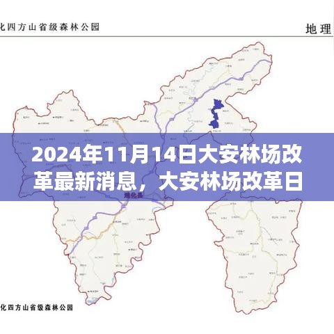 大安林場改革故事會，最新消息與溫馨改革之旅（2024年11月14日）