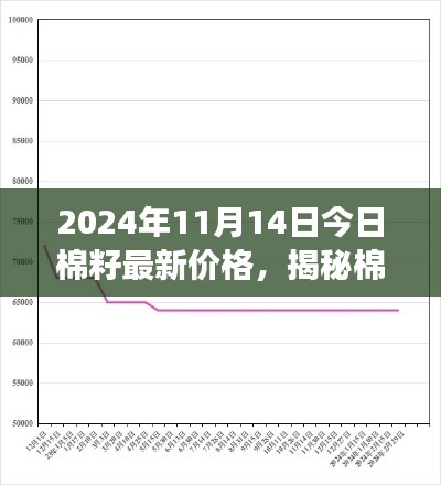 揭秘棉籽市場走勢，最新價格動態(tài)分析與預(yù)測（2024年11月14日）