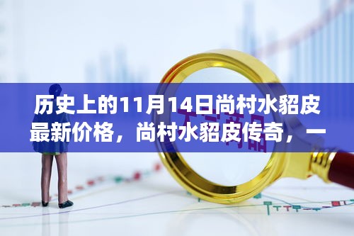 溫馨探秘之旅，尚村水貂皮傳奇與最新價格揭秘（歷史篇）