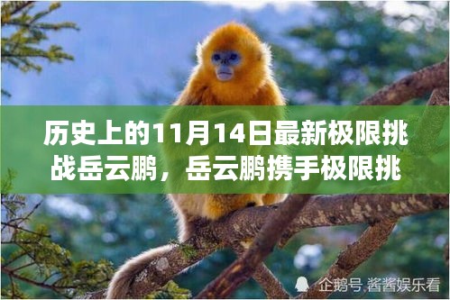 岳云鵬揭秘科技新紀(jì)元，極限挑戰(zhàn)攜手超燃高科技產(chǎn)品震撼登場(chǎng)（11月14日）