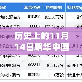 歷史上的11月14日鵬華中國(guó)50最新凈值深度解析及觀察報(bào)告