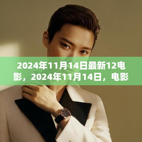十二時空之門，電影巨獻(xiàn)的輝煌與啟示（2024年11月14日最新電影資訊）