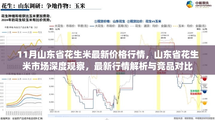 11月山東省花生米最新價格行情，山東省花生米市場深度觀察，最新行情解析與競品對比