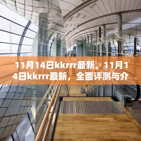 11月14日kkrrr最新資訊，全面評(píng)測(cè)與介紹