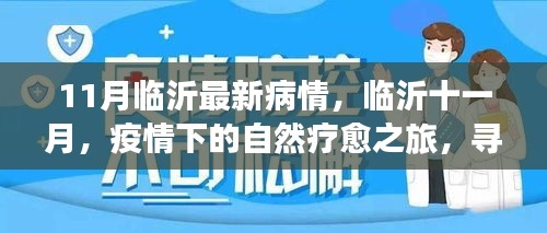 臨沂十一月疫情下的自然療愈之旅，尋找內(nèi)心的寧?kù)o港灣