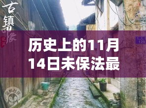 11月14日，未保法的歷史變遷與秘境探索的獨(dú)特記憶