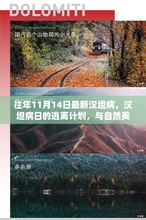 漢坦病日的逃離計劃，與自然美景的緊密連結與應對策略