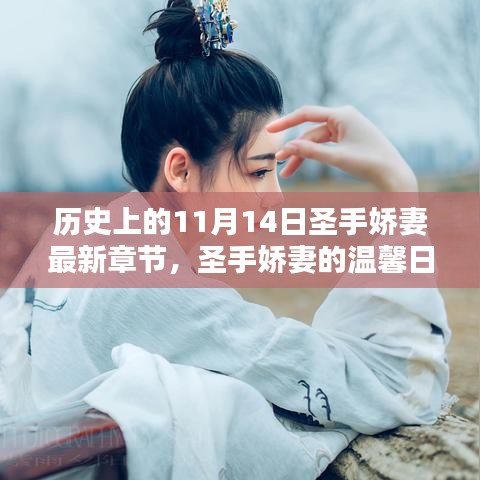 十一月十四日，圣手嬌妻的溫馨日常與輕喜劇章節(jié)