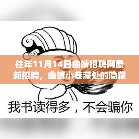 曲靖招聘網(wǎng)獨家揭秘，小巷深處的隱藏瑰寶，特色小店奇妙招聘之旅啟幕