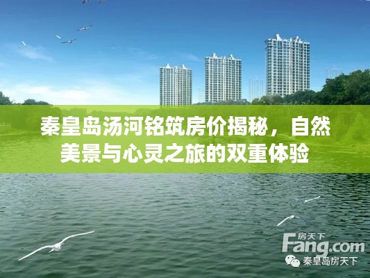 走馬觀花 第34頁