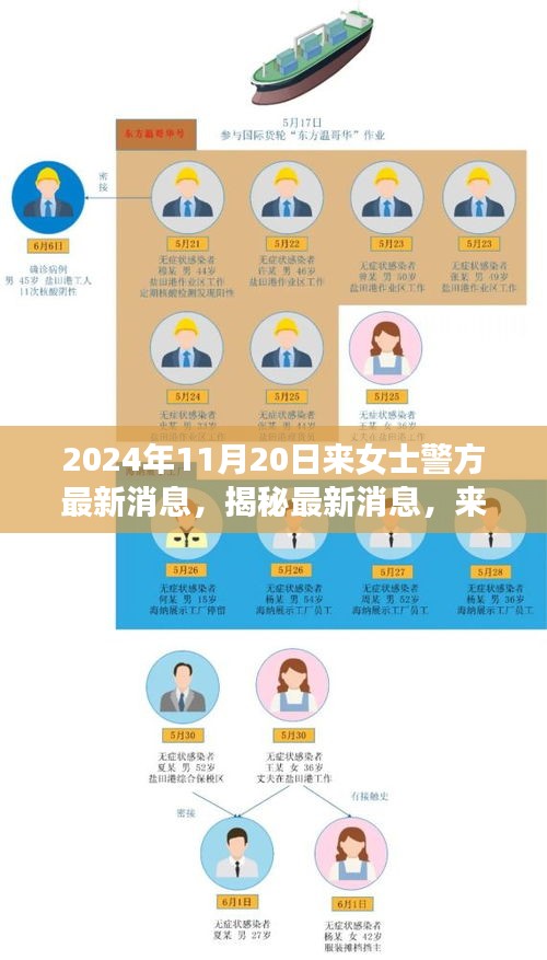 揭秘來女士案件最新進展與警方深度調(diào)查，最新消息披露于2024年11月20日