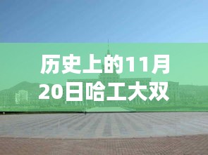 哈工大雙一流最新消息及歷史進展詳解，獲取全攻略與重要進展回顧