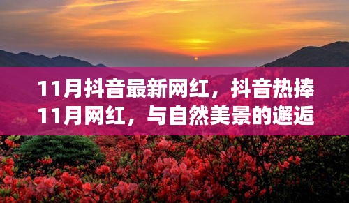 抖音熱捧的11月網(wǎng)紅，與自然美景的邂逅與內(nèi)心寧靜之旅