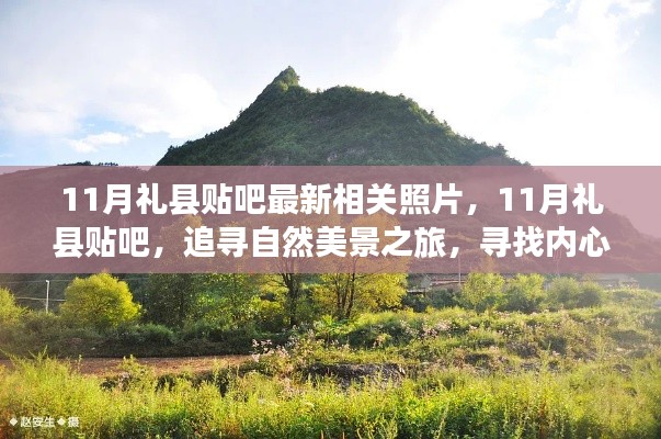11月禮縣貼吧美景追尋，自然之旅與內(nèi)心寧靜的探尋
