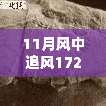 揭秘，風(fēng)中追風(fēng)最新裝備的時代地位與影響，逐風(fēng)而行，價值高達(dá)172萬裝備重磅登場！