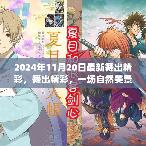 舞出精彩，自然美景的治愈之旅（2024年11月20日最新）