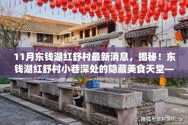 揭秘東錢湖紅舒村最新動態(tài)，小巷美食天堂獨家報道