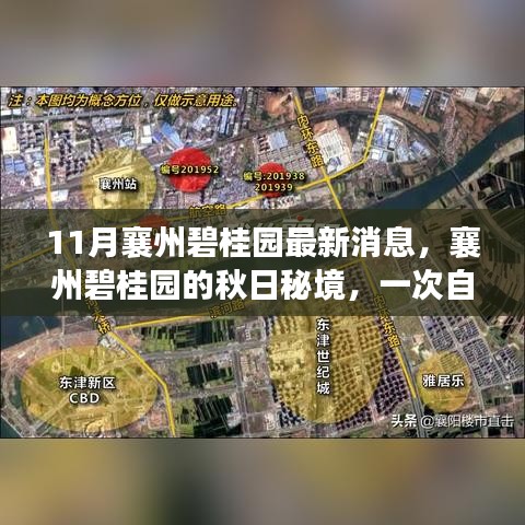 襄州碧桂園秋日秘境，自然美景的心靈之旅最新消息揭秘