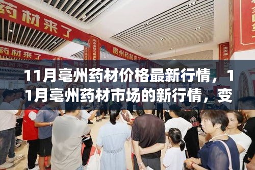 11月亳州藥材市場最新行情，變化中的學(xué)習(xí)，成就感的源泉
