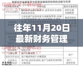 往年11月最新財務管理制度范本及小巷特色小店探秘，揭示獨特魅力與制度范本大全