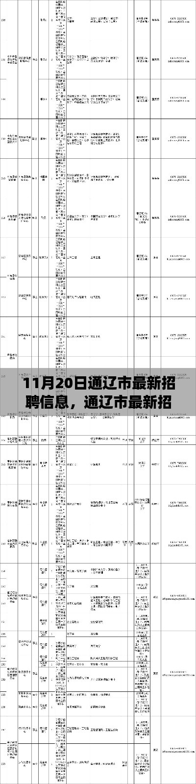 通遼市最新招聘信息概覽，職場人的福音（11月20日更新）