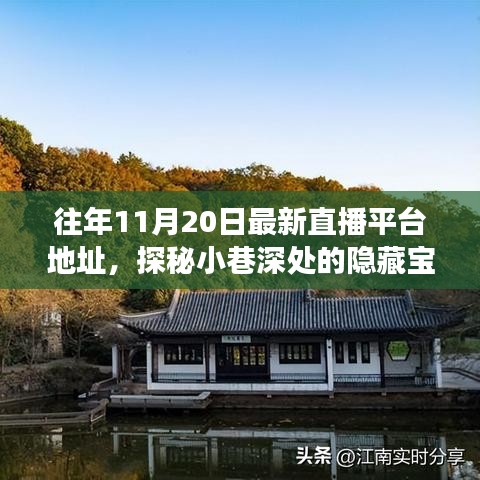 探秘小巷深處的寶藏，十一月二十日最新直播平臺獨(dú)特魅力之旅的地址分享