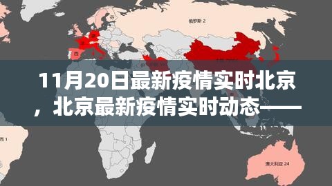北京疫情最新動(dòng)態(tài)，11月20日?qǐng)?bào)告及關(guān)鍵要點(diǎn)解析